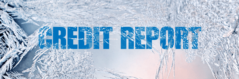 Who Has the Right to Access Your Credit Reports?